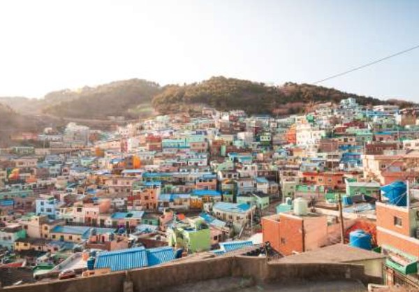 太金國際旅行社的旅遊行程介紹圖片